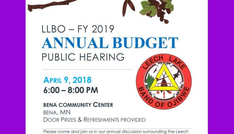 FY 2019 Budget Hearing District II (002)