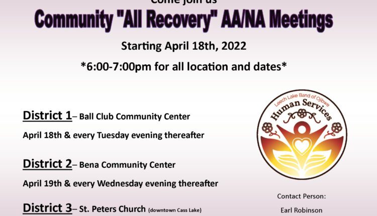 AA-NA Meetings Flyer