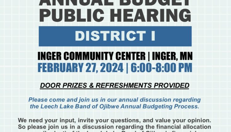 FY 2025 Budget Hearing District 1 SB